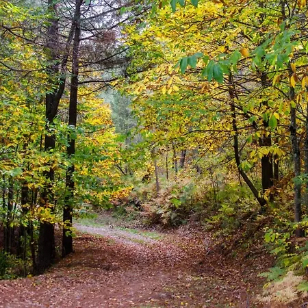Casa La Fuentecilla Dom wakacyjny