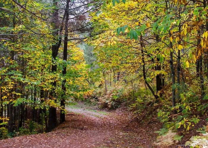 Casa La Fuentecilla Holiday home